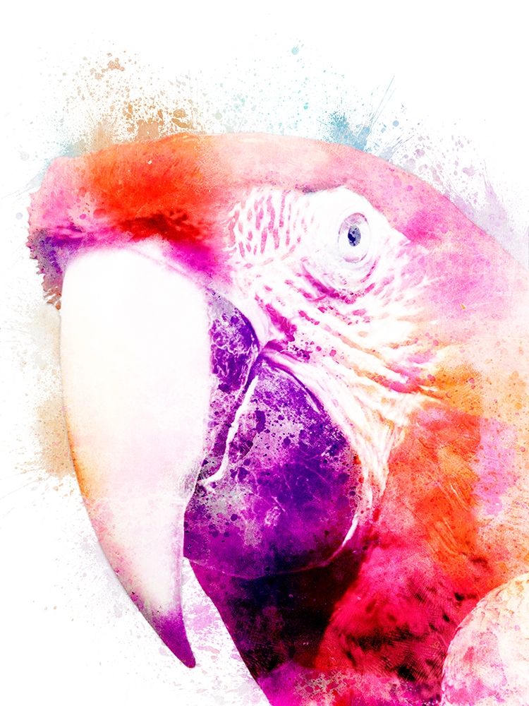Marvelous Macaw 2 art print by Marcus Prime for $57.95 CAD