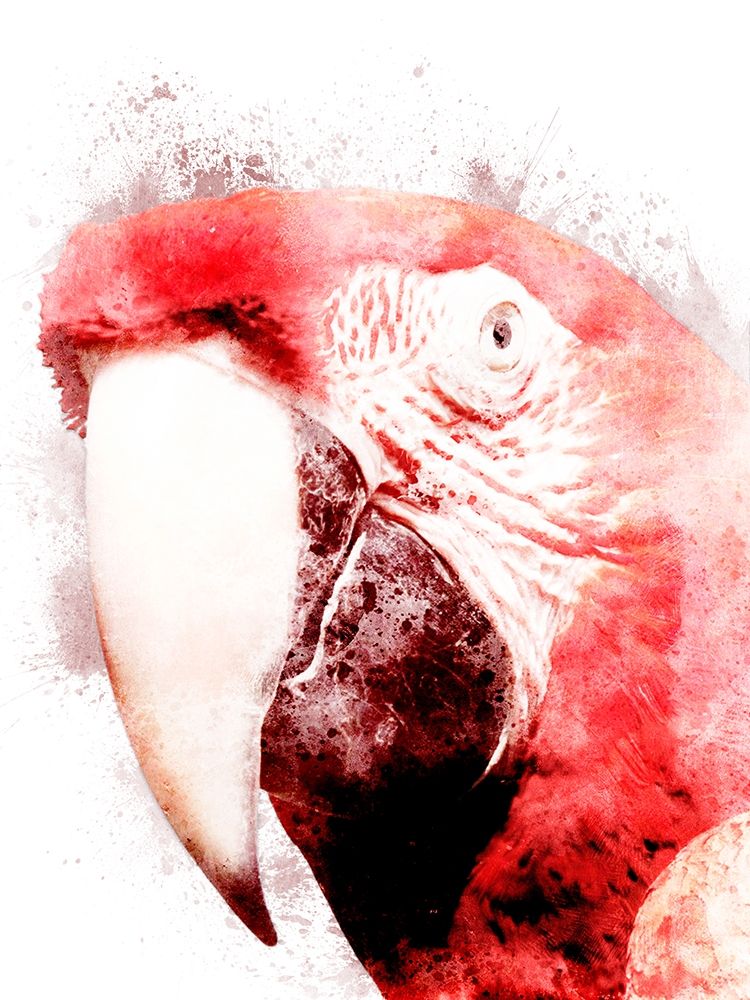 Marvelous Macaw 3 art print by Marcus Prime for $57.95 CAD