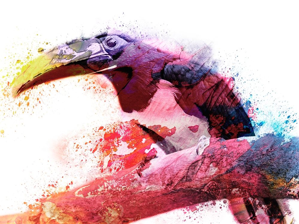 Marvelous Tucan art print by Marcus Prime for $57.95 CAD