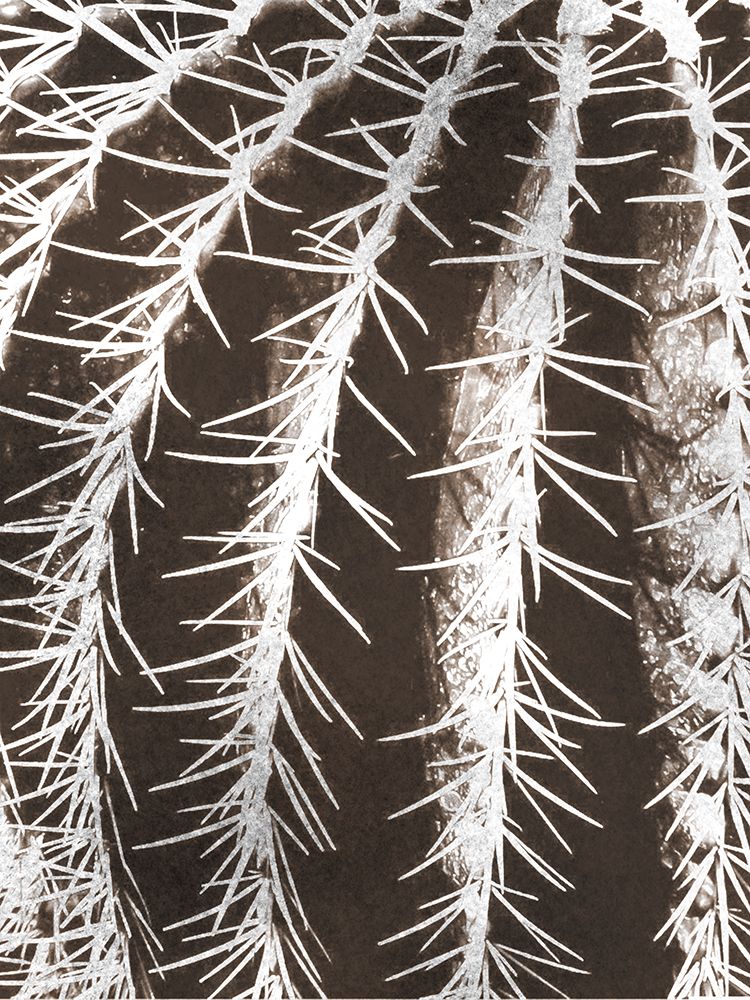 Earthy Cactus art print by Marcus Prime for $57.95 CAD