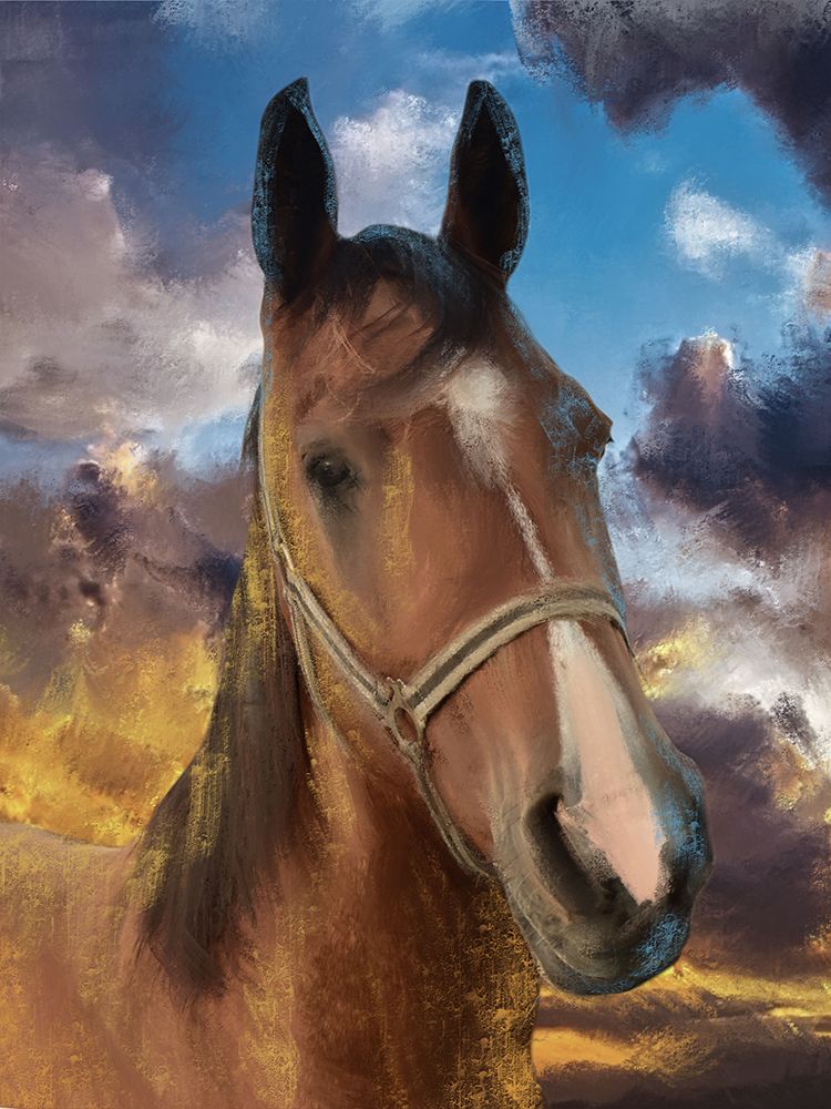 Twilight Steed art print by Marcus Prime for $57.95 CAD