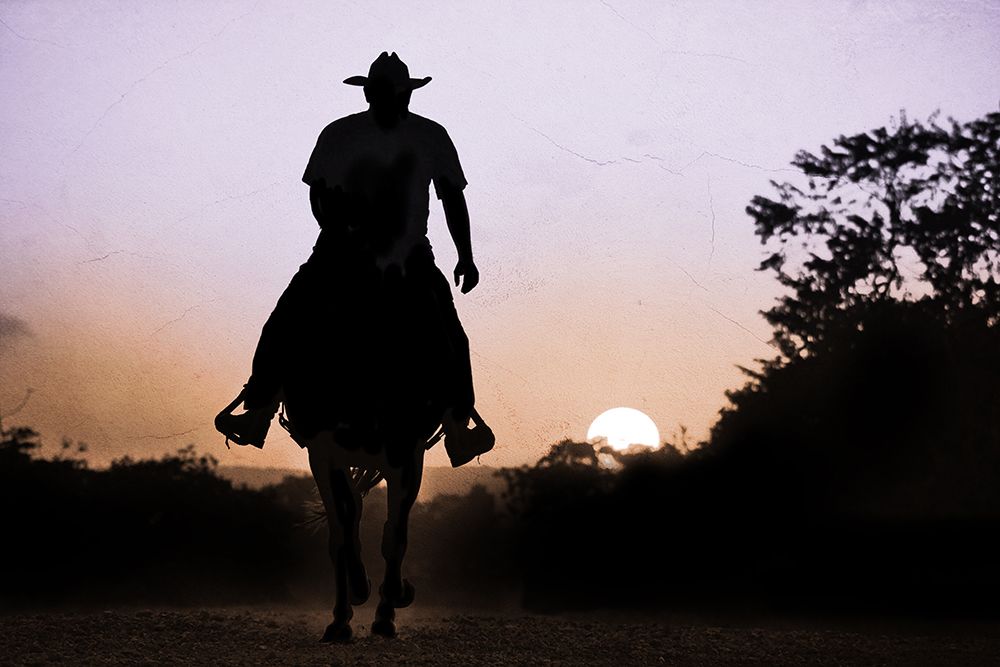 Isolated Sunset Ride art print by Marcus Prime for $57.95 CAD