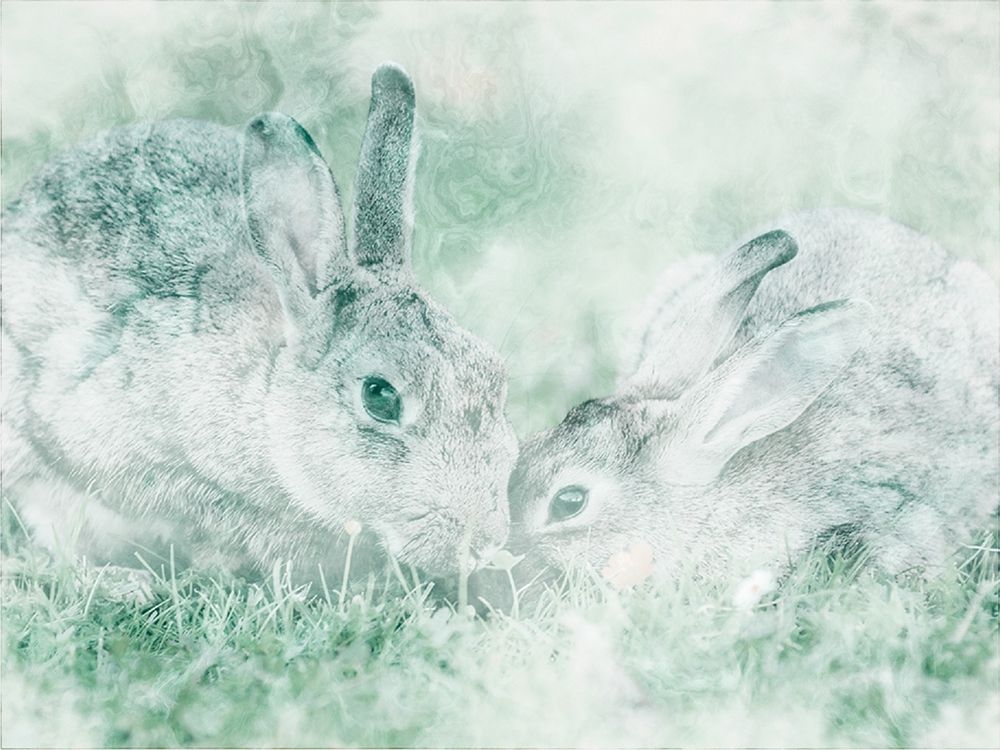 Marble And Bunnies art print by Marcus Prime for $57.95 CAD