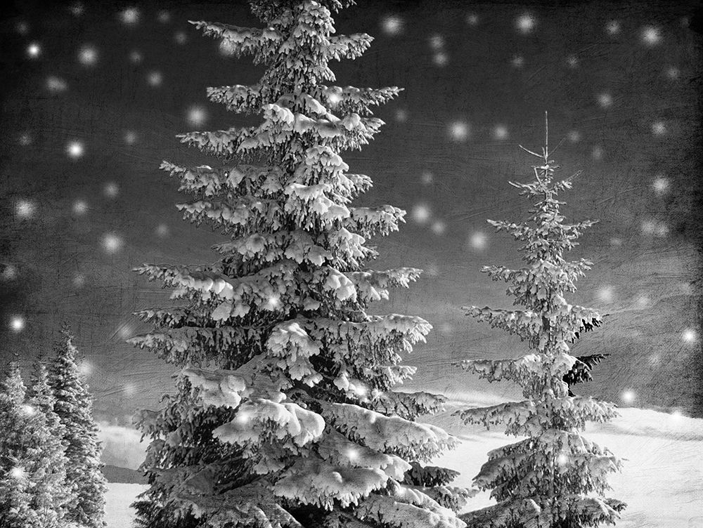 Snowy Night art print by Marcus Prime for $57.95 CAD