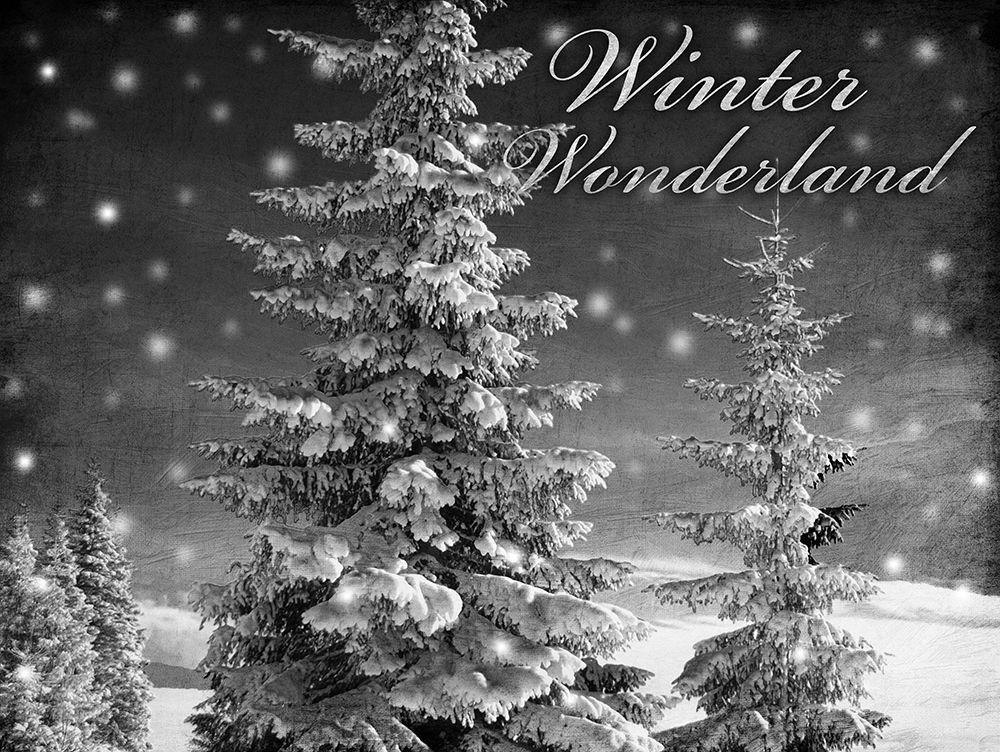 Winter Wonderland 1 art print by Marcus Prime for $57.95 CAD