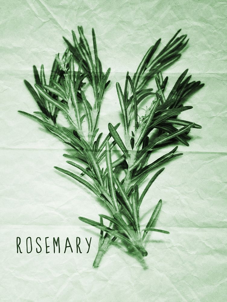 Rosemary Paper Scraps art print by Marcus Prime for $57.95 CAD