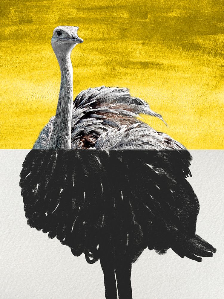 Divided Ostrich 1 art print by Marcus Prime for $57.95 CAD