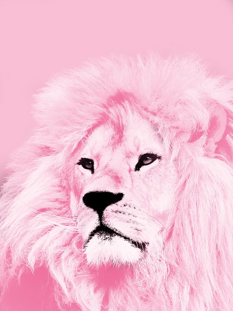 Blush Strength art print by Marcus Prime for $57.95 CAD