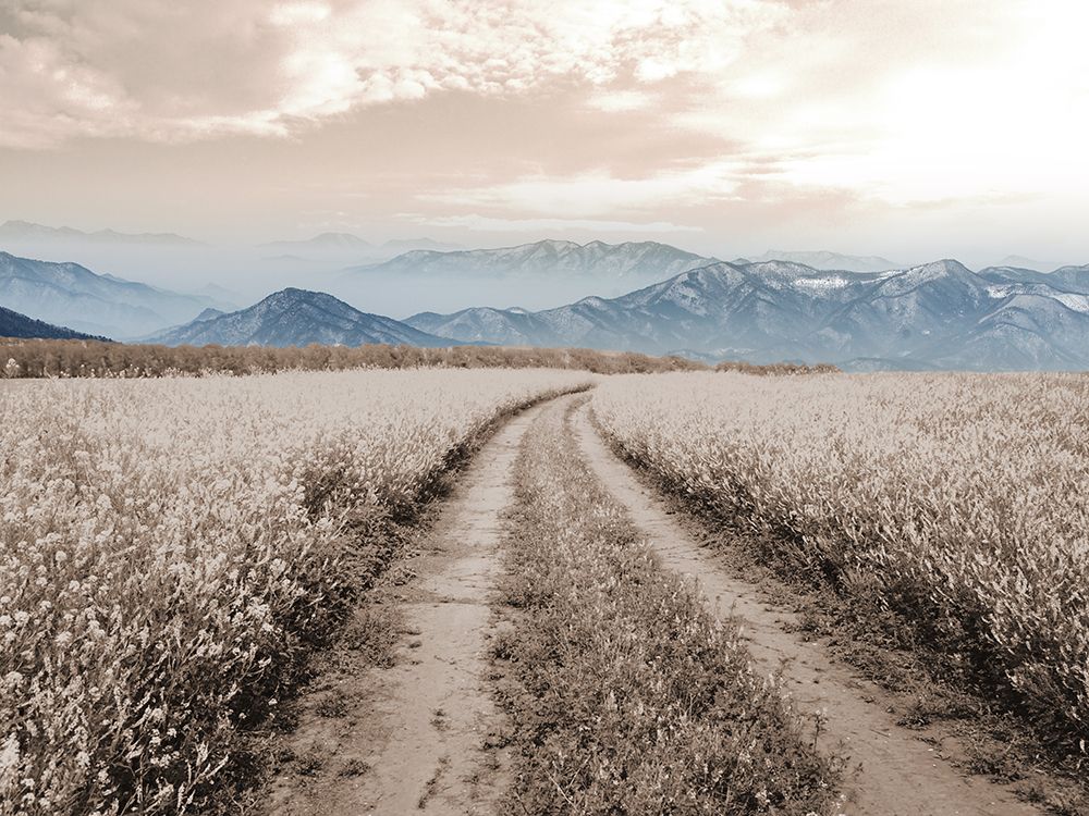 Mountain Path art print by Marcus Prime for $57.95 CAD
