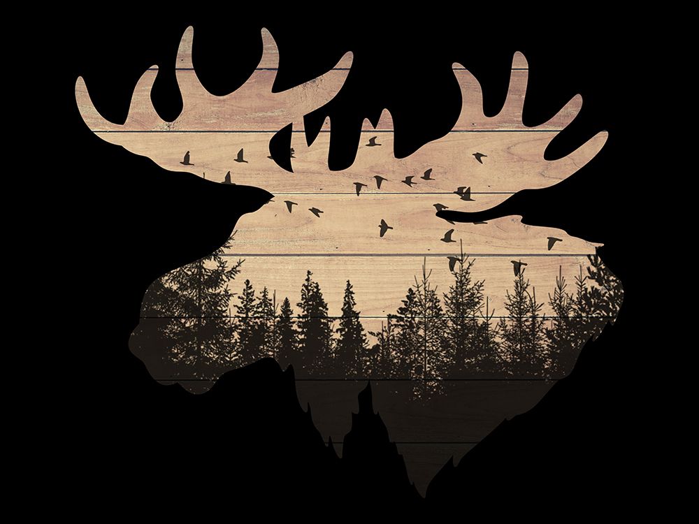 Wilderness Moose art print by Marcus Prime for $57.95 CAD