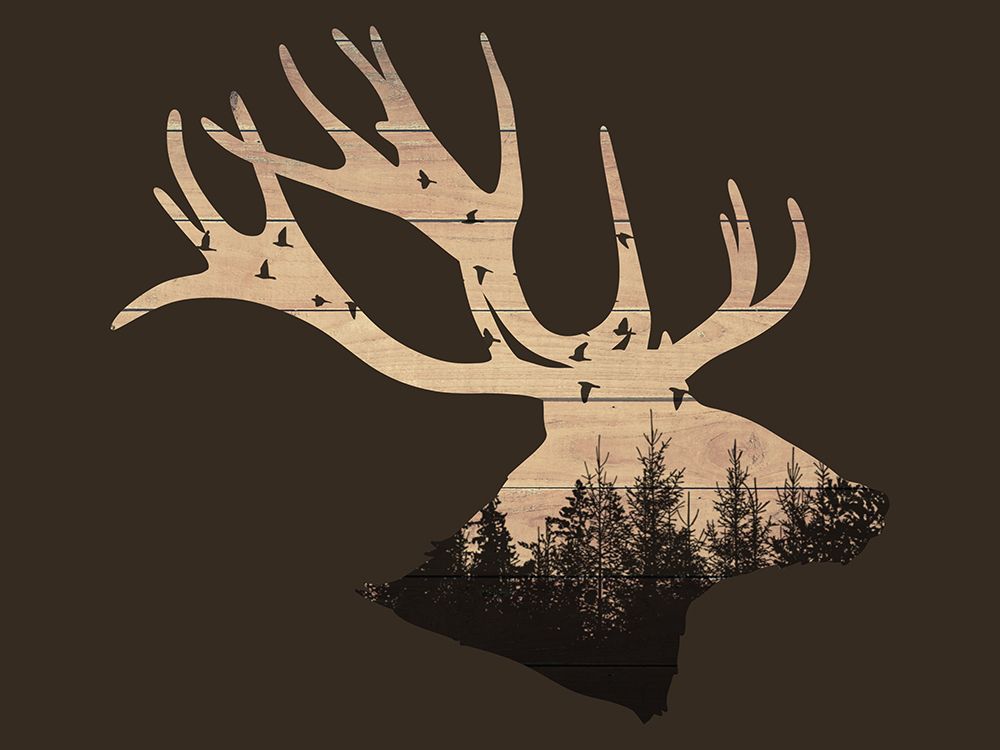Wooden Wilderness 2 art print by Marcus Prime for $57.95 CAD