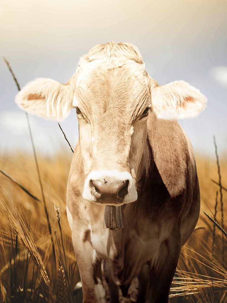 Simple Belle art print by Marcus Prime for $57.95 CAD