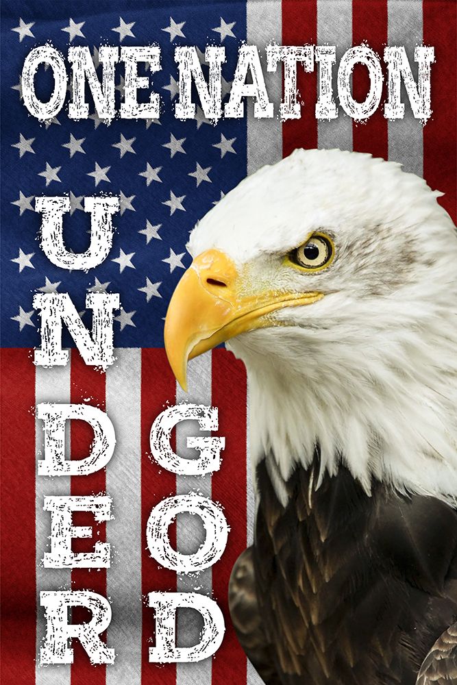 One Nation art print by Marcus Prime for $57.95 CAD