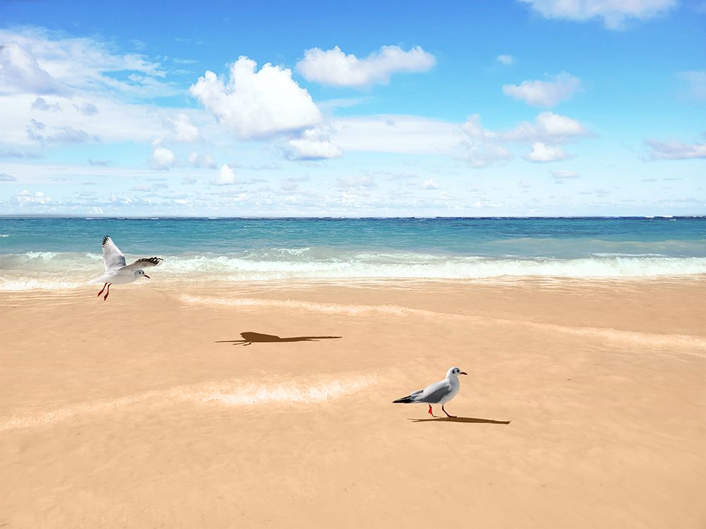 Beach Friends art print by Marcus Prime for $57.95 CAD