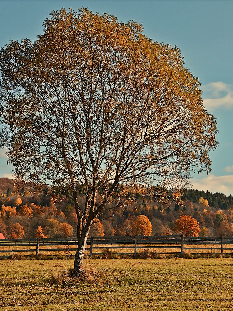 Farm Autumn Day art print by Marcus Prime for $57.95 CAD