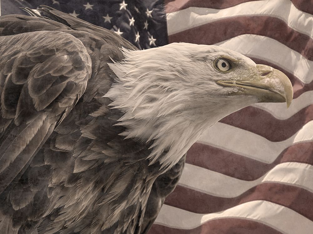 Watching Liberty art print by Marcus Prime for $57.95 CAD