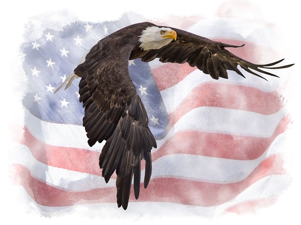 Flying Brave art print by Marcus Prime for $57.95 CAD