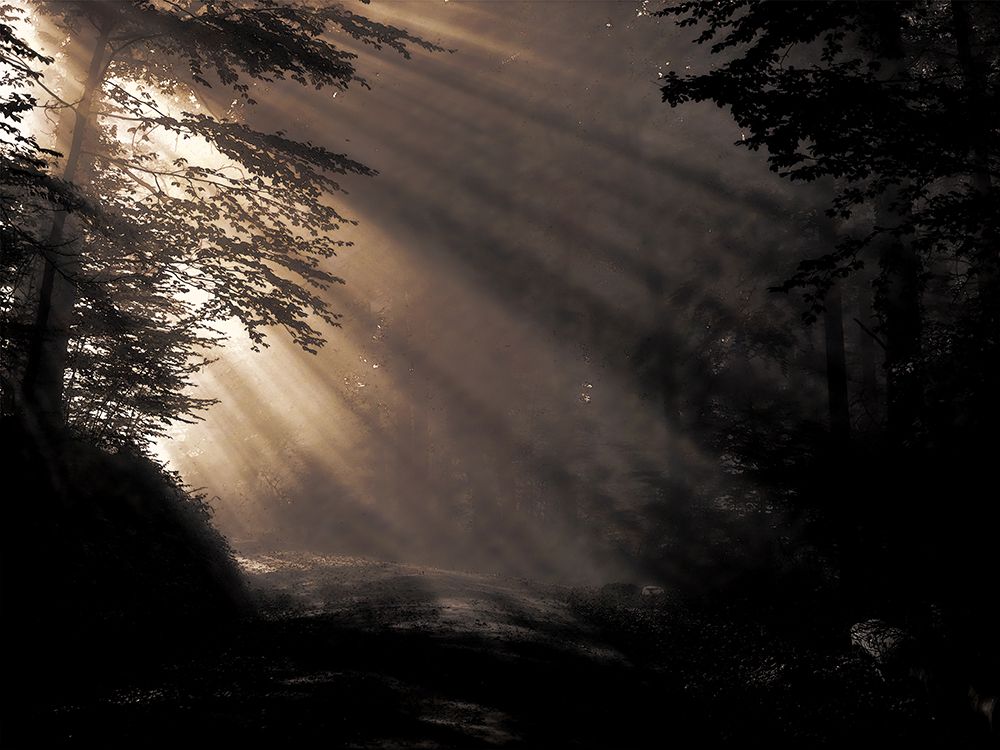 Guilty Discovery art print by Marcus Prime for $57.95 CAD