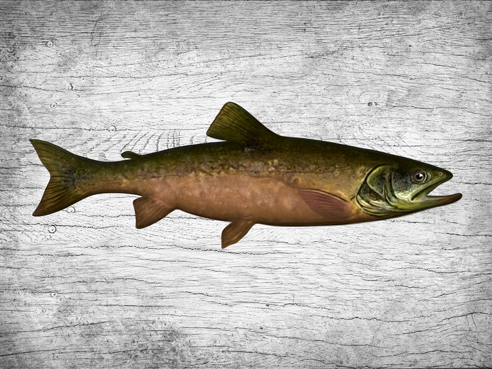 Fishing Friend 2 art print by Marcus Prime for $57.95 CAD