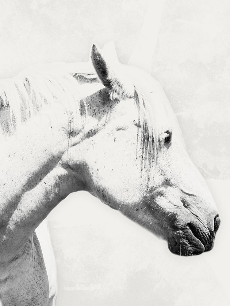 Stunning Steed 1 art print by Marcus Prime for $57.95 CAD
