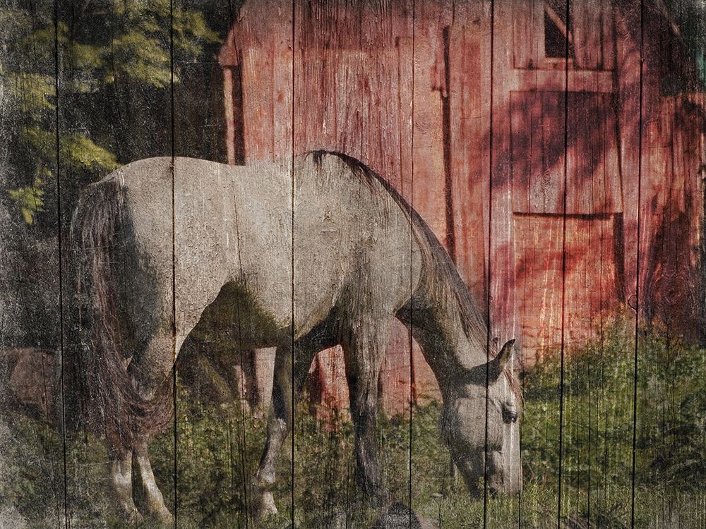 Summer Feeding art print by Marcus Prime for $57.95 CAD