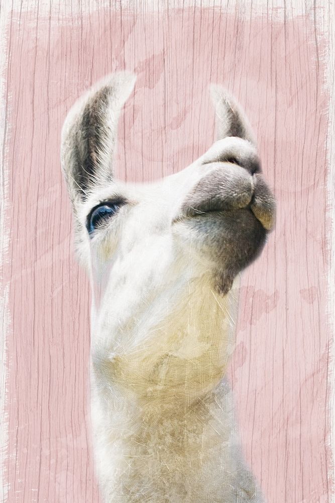Llama Love 2 art print by Marcus Prime for $57.95 CAD
