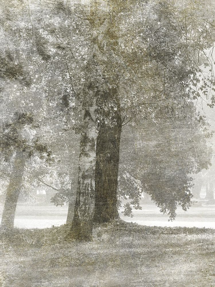 Autumn Dream 2 art print by Marcus Prime for $57.95 CAD