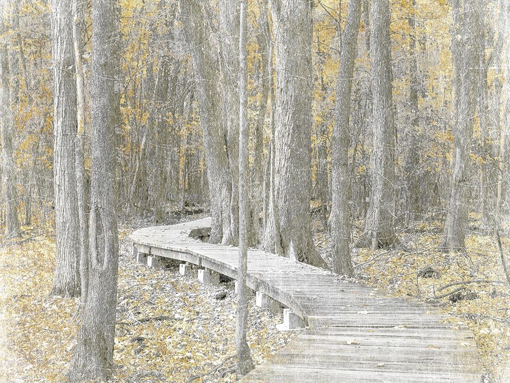 Autumn Stroll art print by Marcus Prime for $57.95 CAD