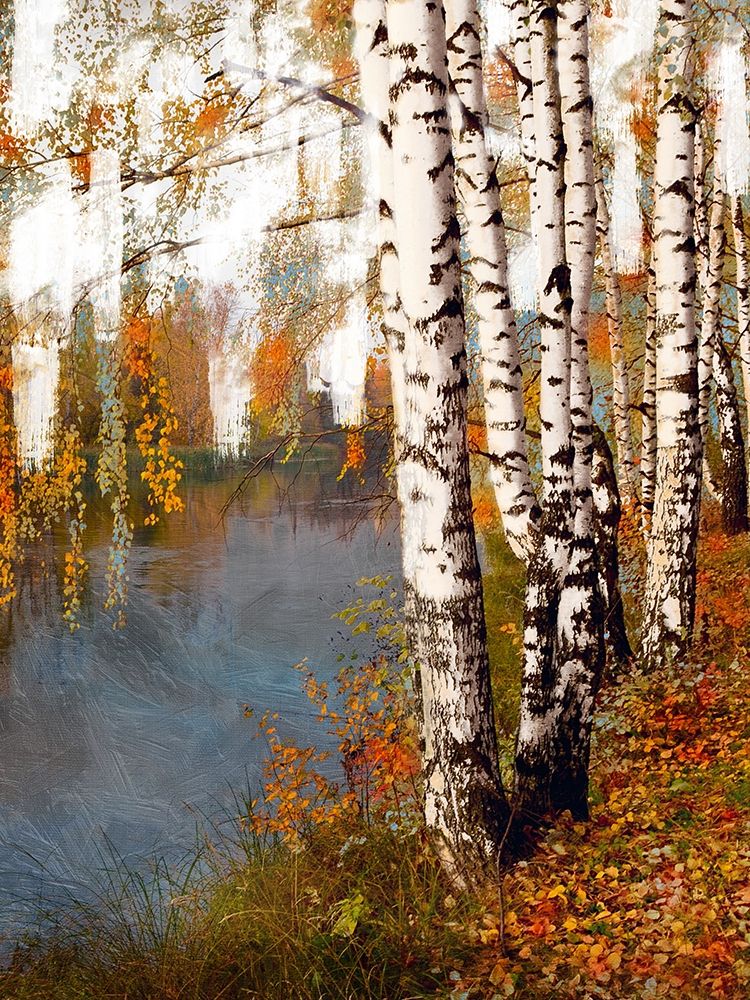 Birch Dream art print by Marcus Prime for $57.95 CAD