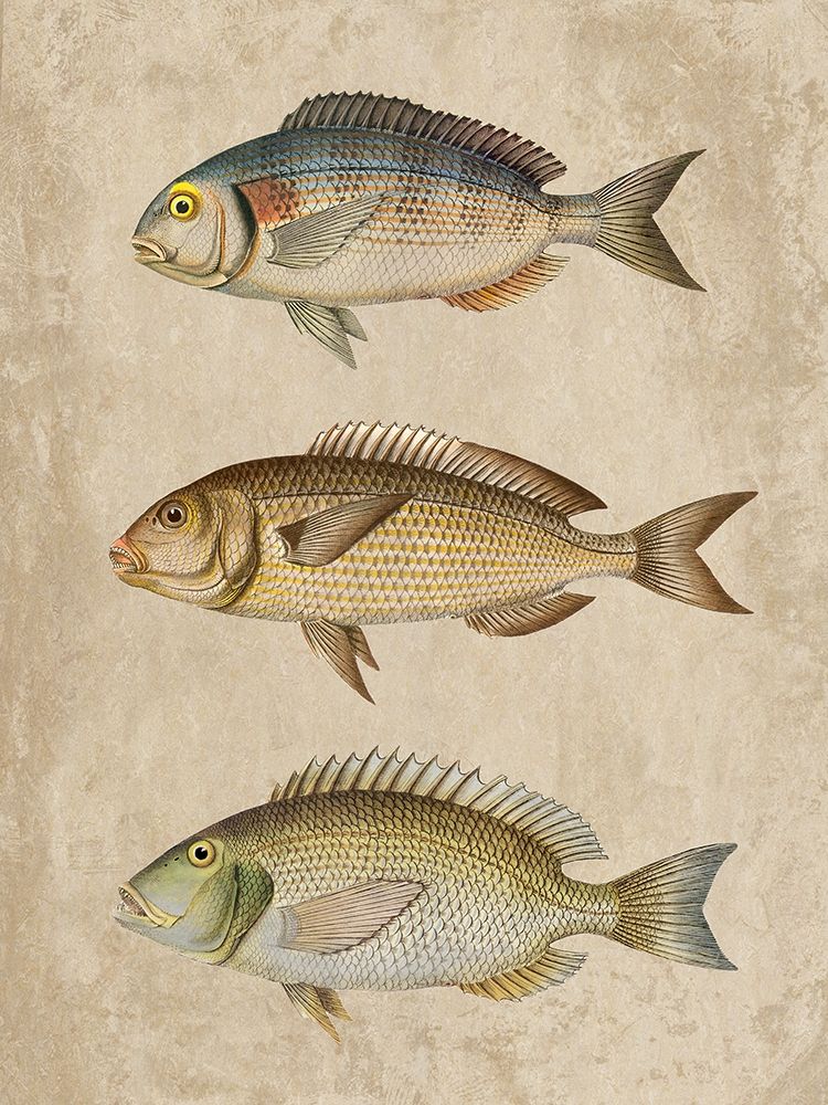 Fish Friends 2 art print by Marcus Prime for $57.95 CAD