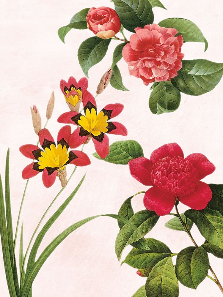 Botanical Fusion art print by Marcus Prime for $57.95 CAD