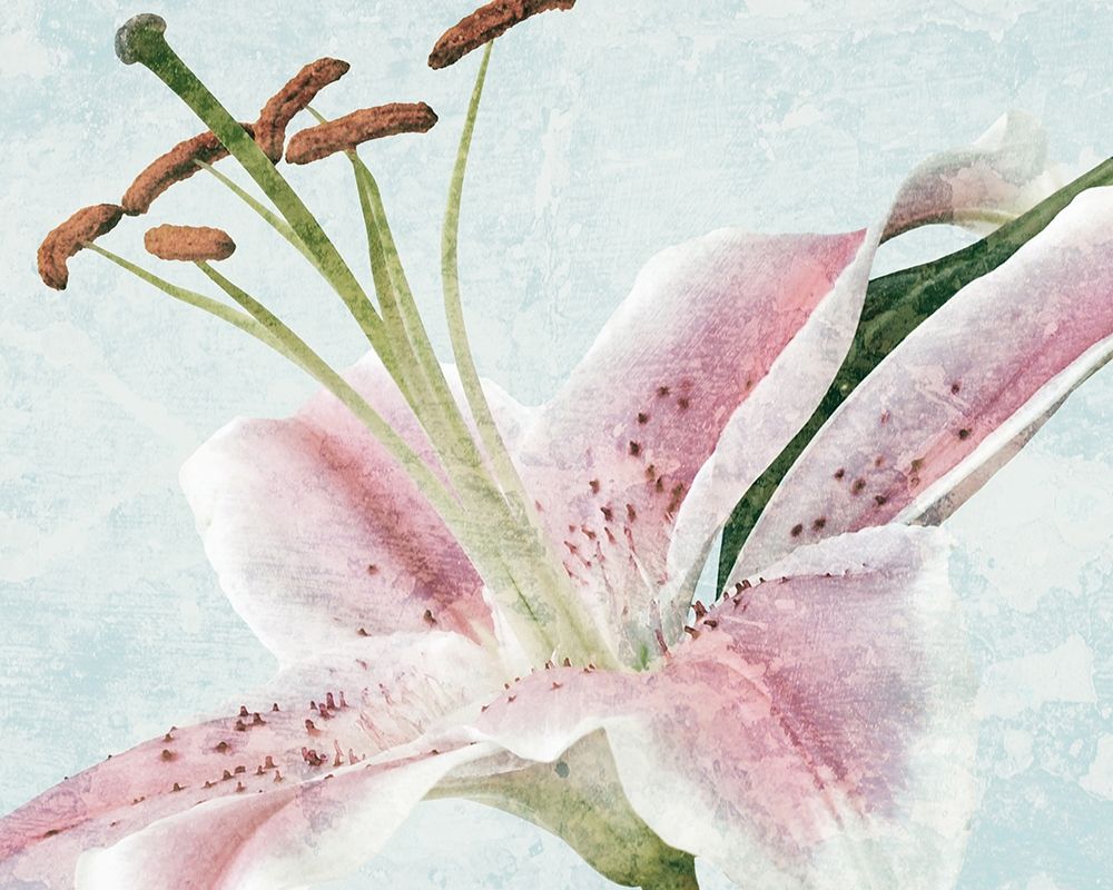 Lily Love 1 art print by Marcus Prime for $57.95 CAD