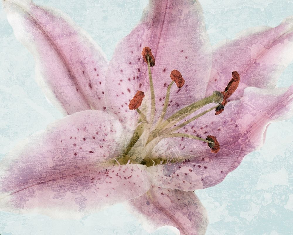 Lily Love 2 art print by Marcus Prime for $57.95 CAD