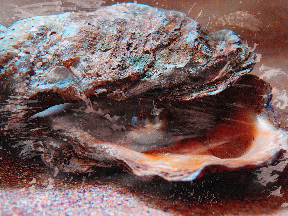 Shiny Oyster 2 art print by Marcus Prime for $57.95 CAD
