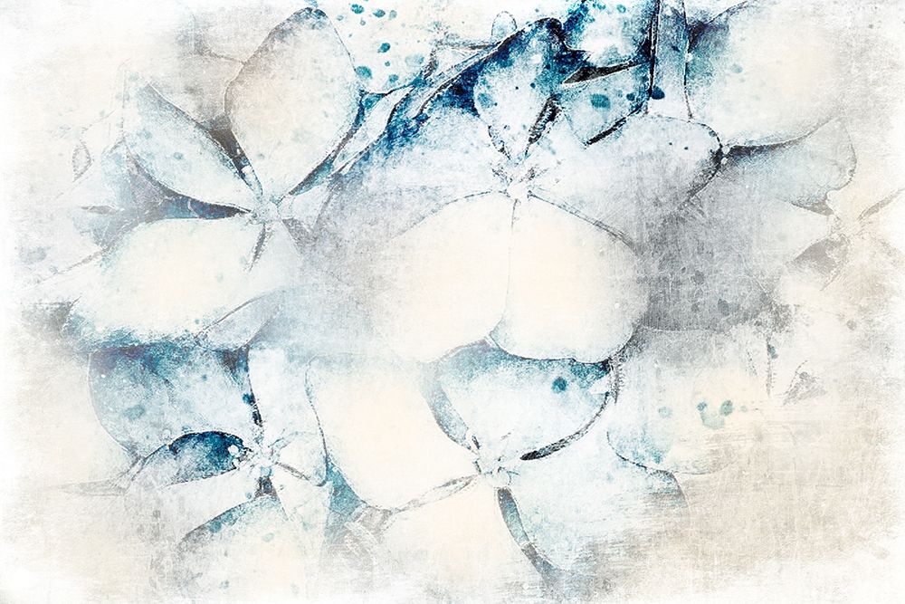 Piercing Beauty 1 art print by Marcus Prime for $57.95 CAD