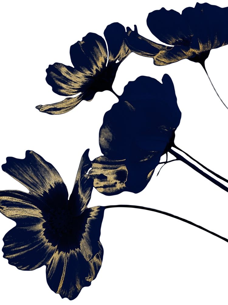 Indigo Shine 1 art print by Marcus Prime for $57.95 CAD