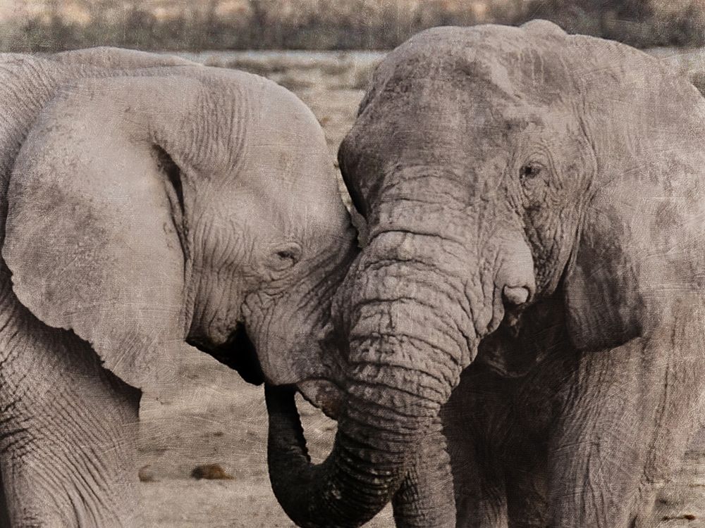 African Embrace art print by Marcus Prime for $57.95 CAD