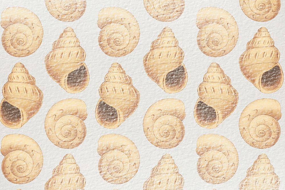 Flowing Shells 1 art print by Marcus Prime for $57.95 CAD