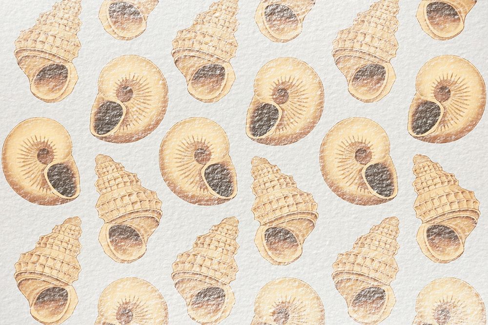 Flowing Shells 2 art print by Marcus Prime for $57.95 CAD
