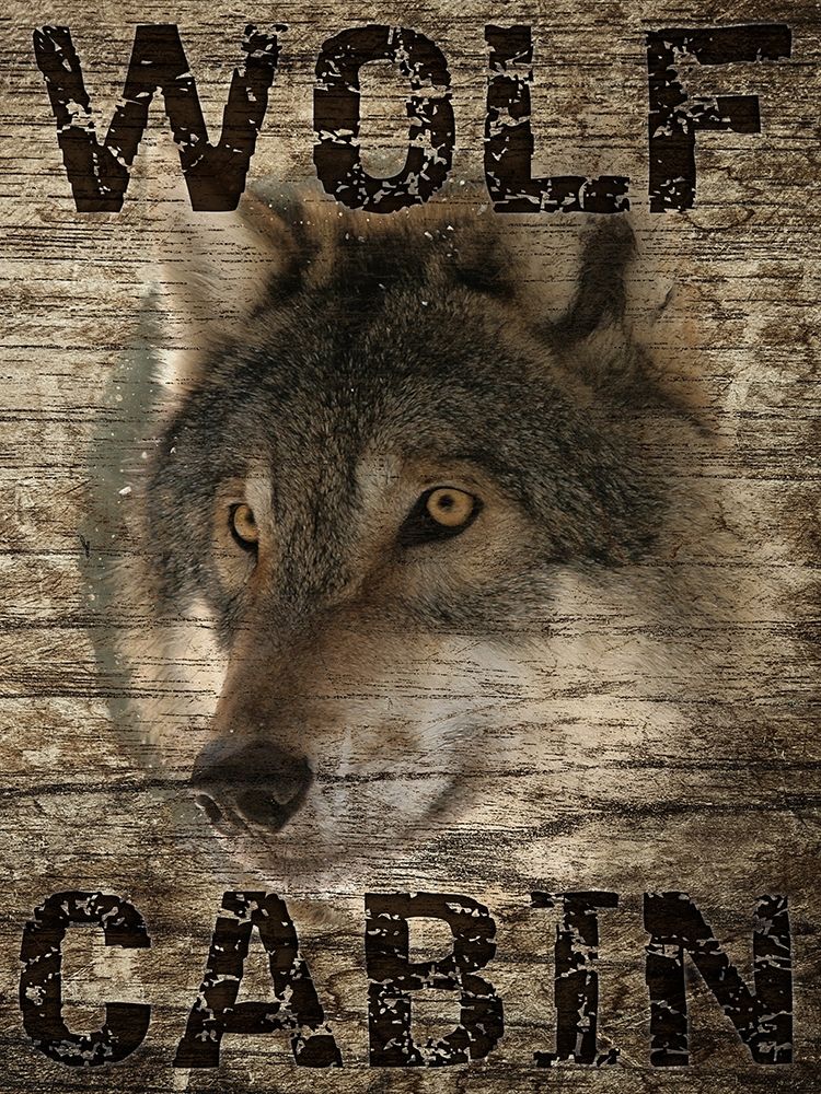 Wolf Cabin 1 art print by Marcus Prime for $57.95 CAD