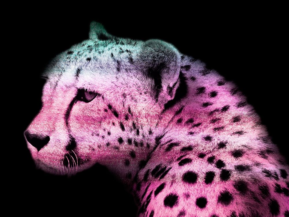 Fun Cheetah 1 art print by Marcus Prime for $57.95 CAD