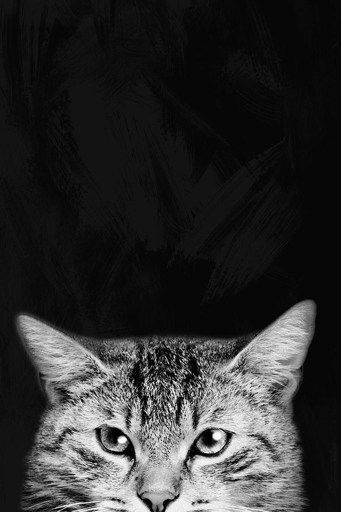 Sneaky Stare 1 art print by Marcus Prime for $57.95 CAD