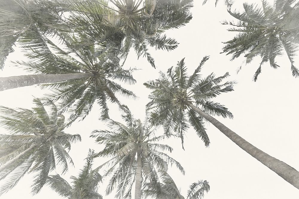 Organic Rises 1 art print by Marcus Prime for $57.95 CAD