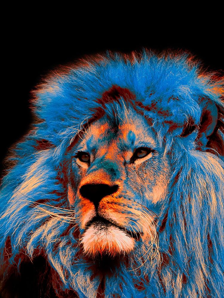 Pride Rock 1 art print by Marcus Prime for $57.95 CAD