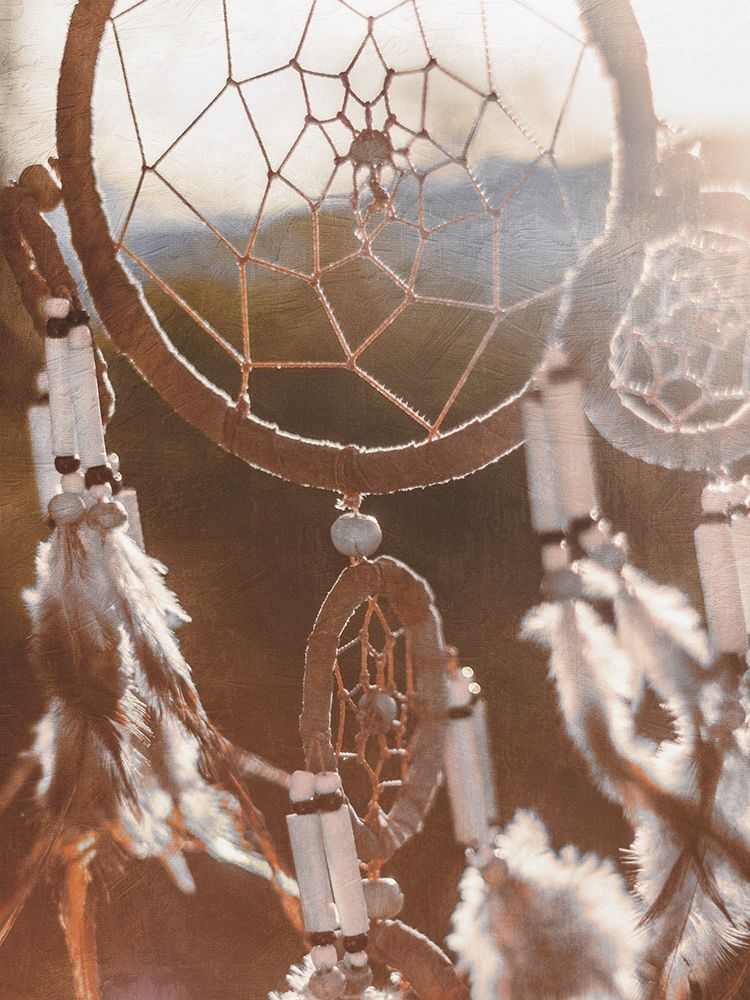 Spirited Dreamcatcher art print by Marcus Prime for $57.95 CAD