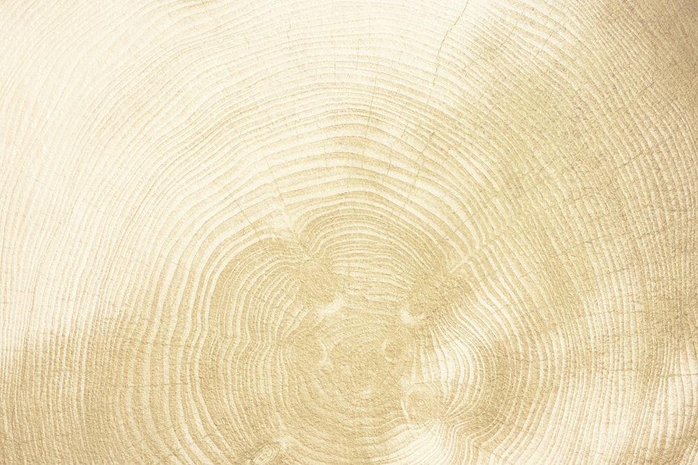 Wooden Comfort 1 art print by Marcus Prime for $57.95 CAD