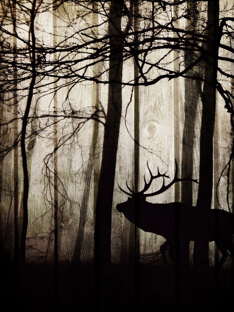 Dawn Lit Stroll 1 art print by Marcus Prime for $57.95 CAD