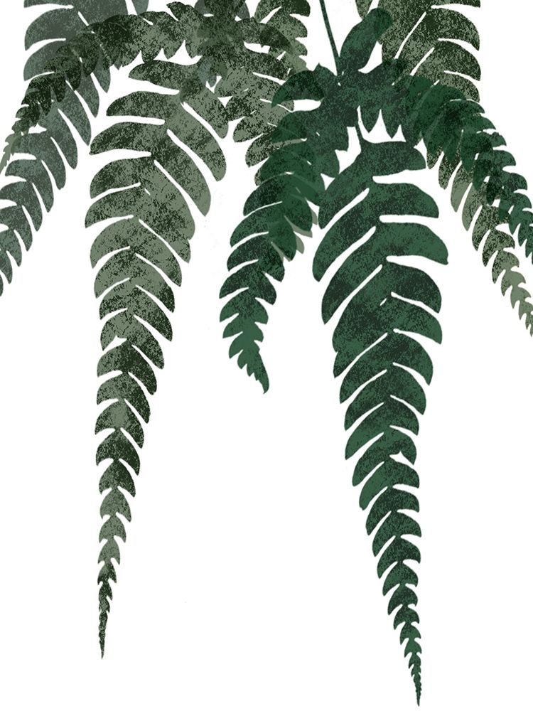 Evergreen Bliss 1 art print by Marcus Prime for $57.95 CAD