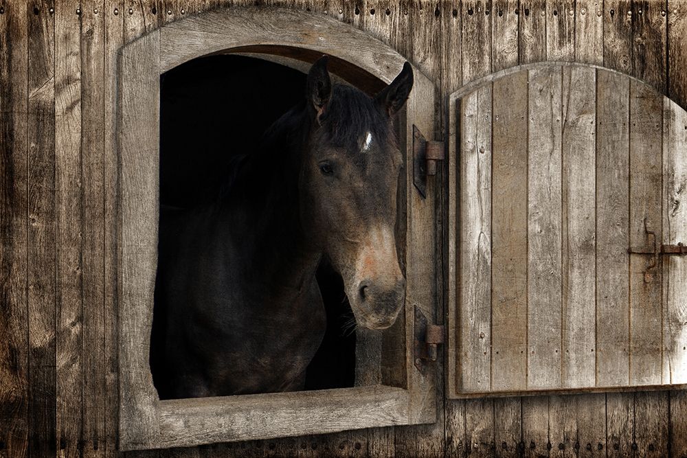 Loving Peek 1 art print by Marcus Prime for $57.95 CAD