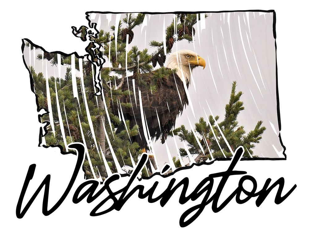 Washington Pride art print by Marcus Prime for $57.95 CAD